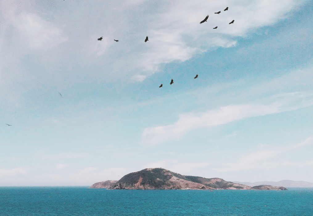 colline avec oiseaux